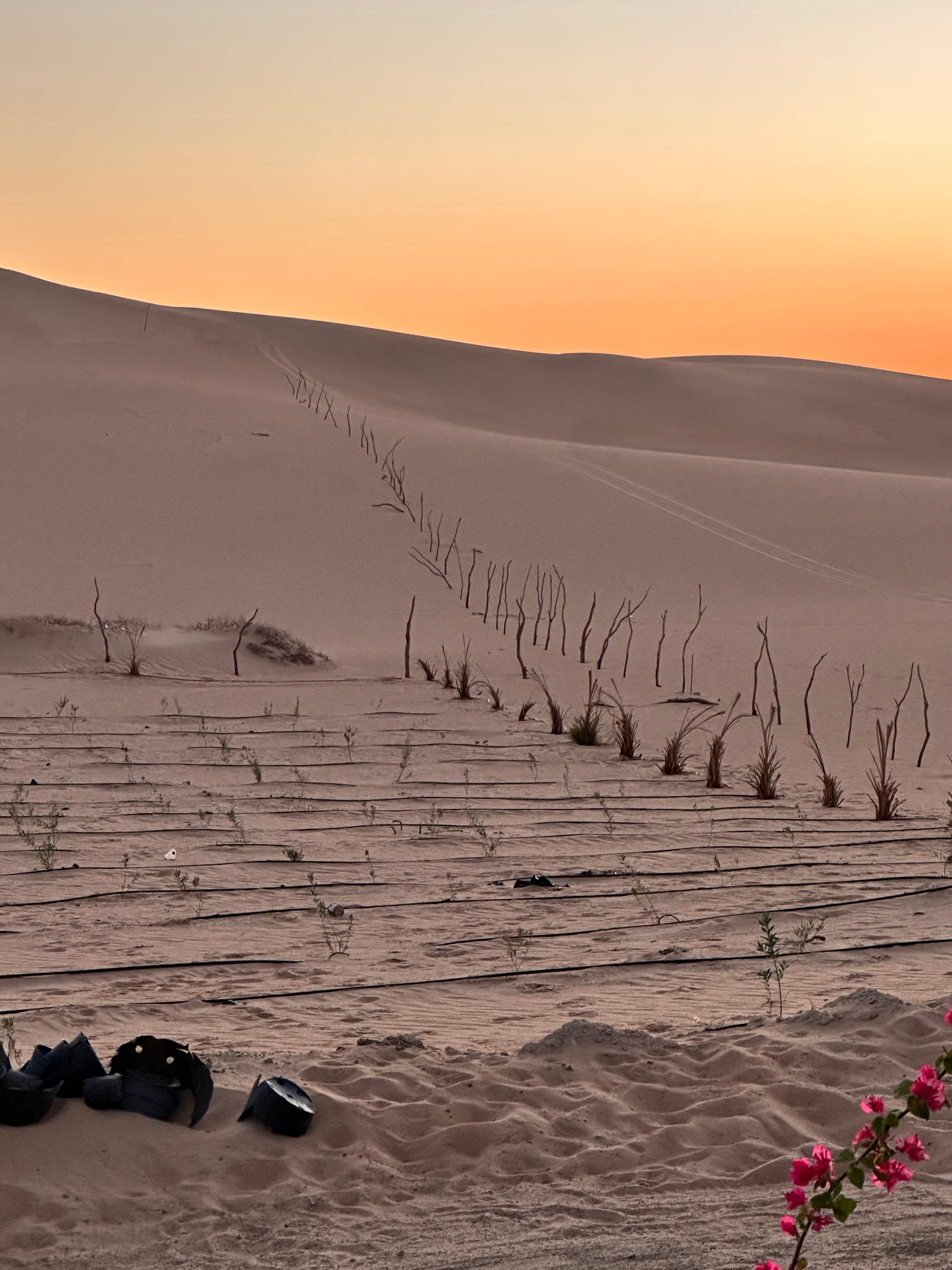 Sunset over the dunes in Siwa